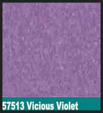 57513 Vicious Violet